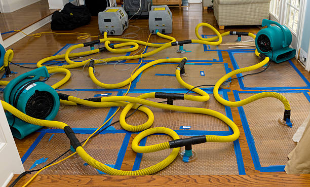Professional Basement Flood Cleanup technician working in Chatfield, OH